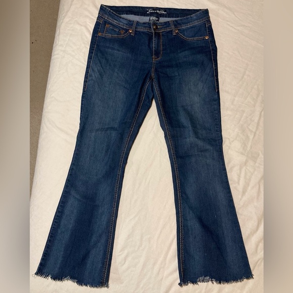 Torrid Source of Wisdom Blue Jeans | Flare Leg | Stretchy - Picture 1 of 15